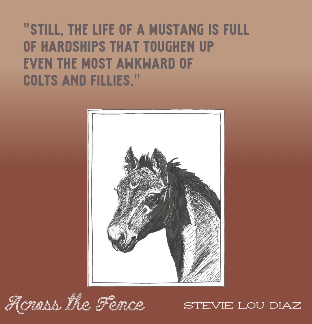 A graphic design of an illustration of a filly and a quote from the book. Illustration is from Across the Fence. 